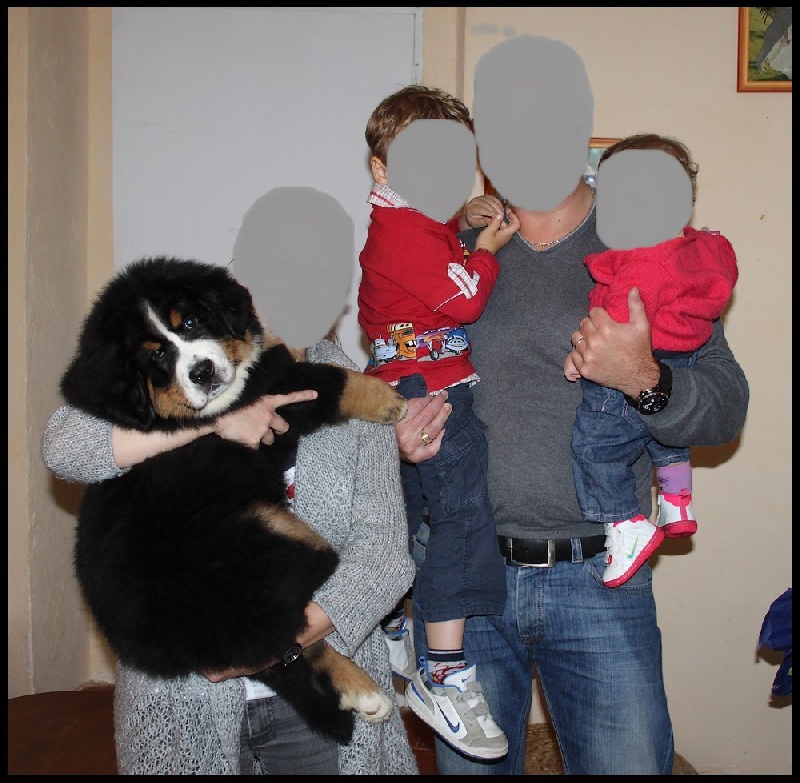 Bébés 2012 (Cimba et Caïla)