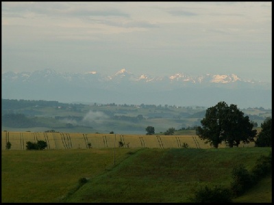 A l'ombre des Niaoulis